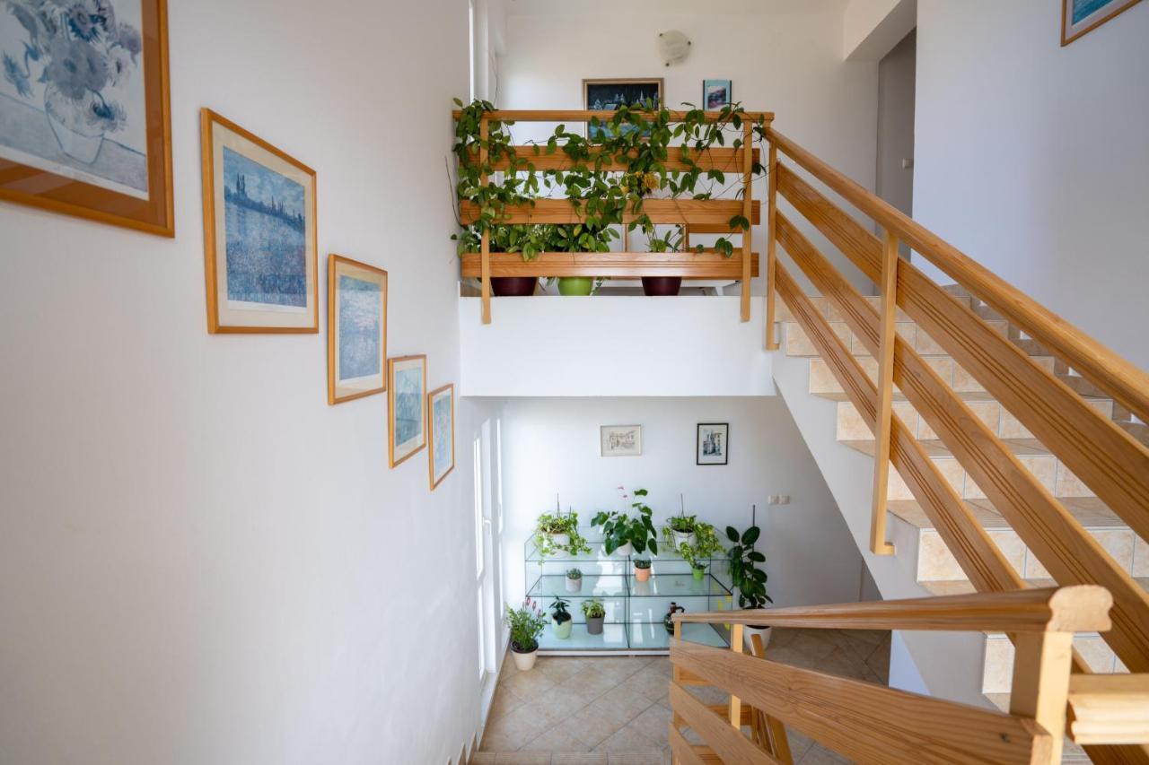 Apartments Valentin Privlaka  Exteriér fotografie